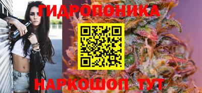 молекула духа Славгород
