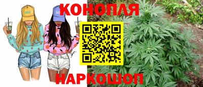 ГАЛЛЮЦИНОГЕННЫЕ ГРИБЫ Северобайкальск